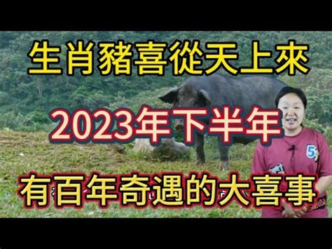 2023屬豬買房